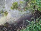 image of grave number 631705